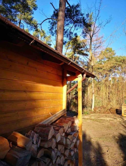 Haus Clemens - Gemuetliches Holzhaus Mit Grundstueck Villa Koenigs Wusterhausen Bagian luar foto